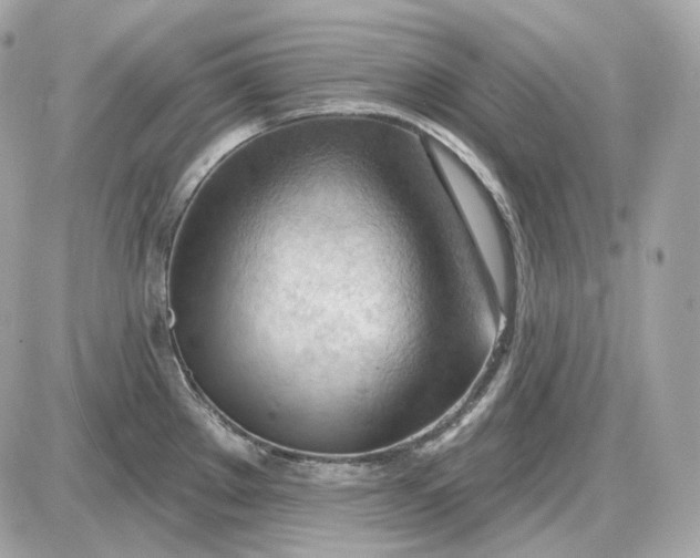 X0000087551289200705112112