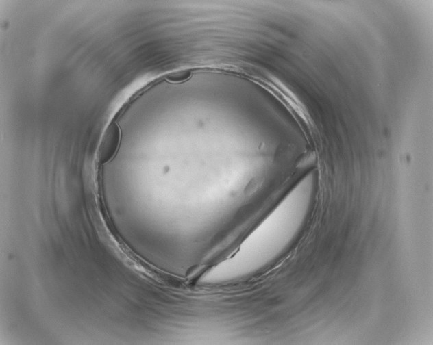 X0000087551291200705112112