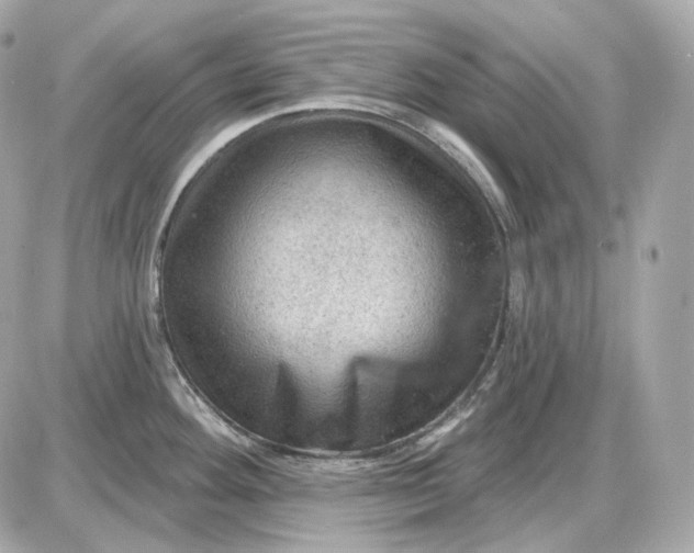 X0000087551292200705112112