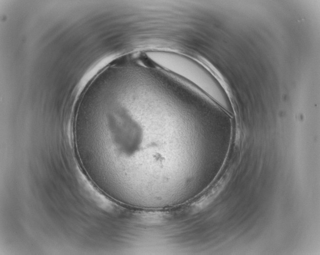 X0000087551293200705112112