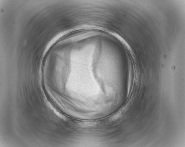 X0000087551294200705112112