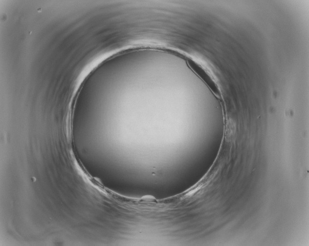 X0000087551295200705112112