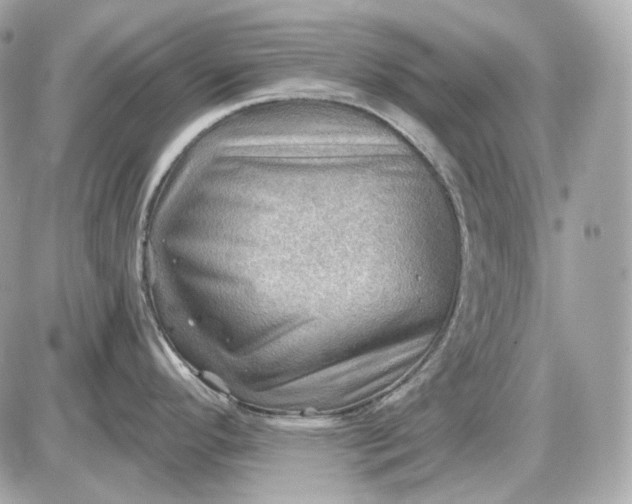 X0000087551296200705112112