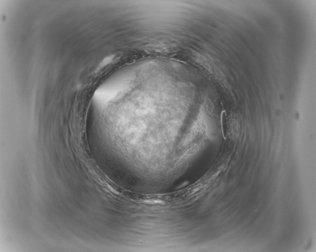 X0000087551297200705112111