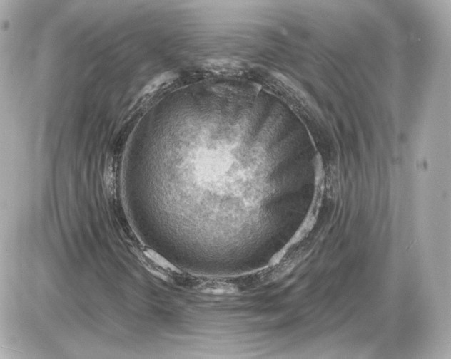 X0000087551298200705112111