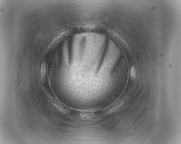 X0000087551299200705112111