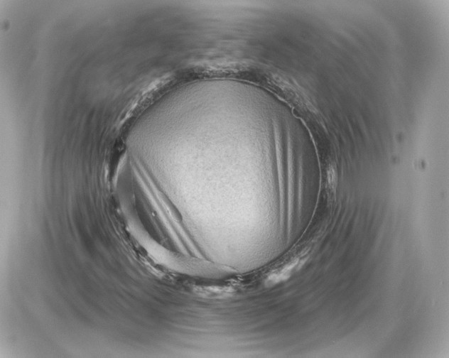 X0000087551300200705112111