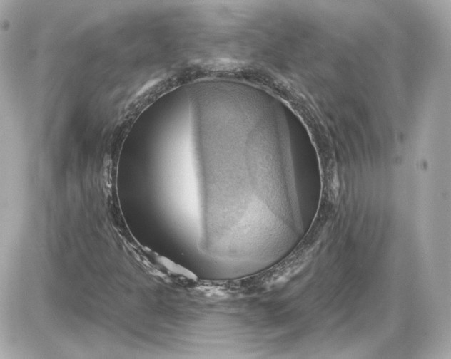 X0000087551301200705112111