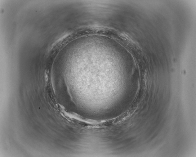 X0000087551302200705112111