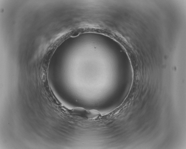 X0000087551303200705112111