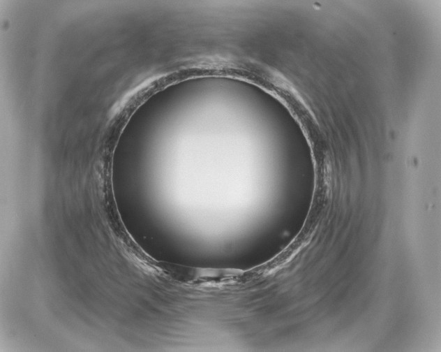 X0000087551304200705112111