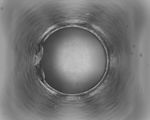 X0000087551305200705112111