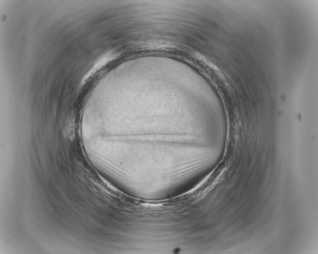 X0000087551306200705112111