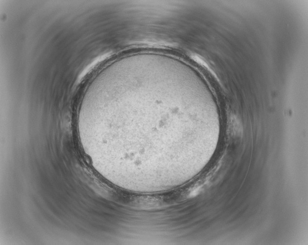 X0000087551307200705112111