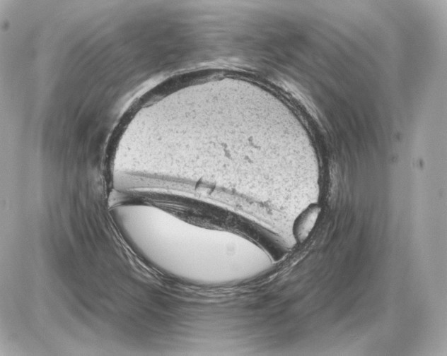 X0000087551308200705112111