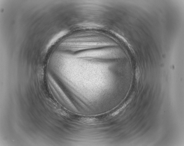 X0000087551309200705112111