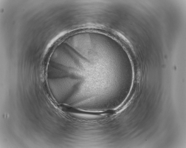 X0000087551310200705112111