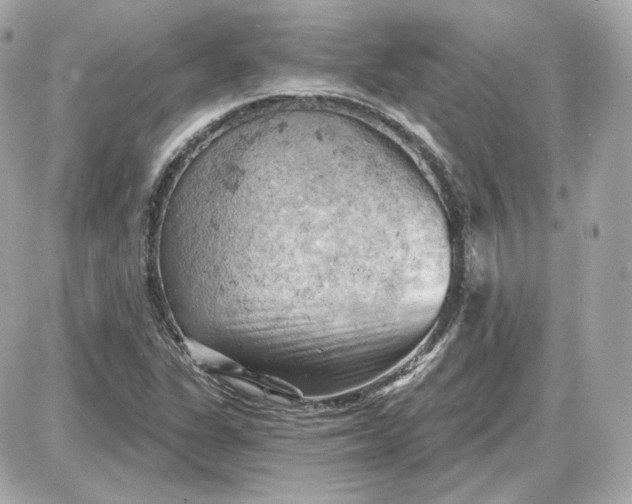 X0000087551311200705112111