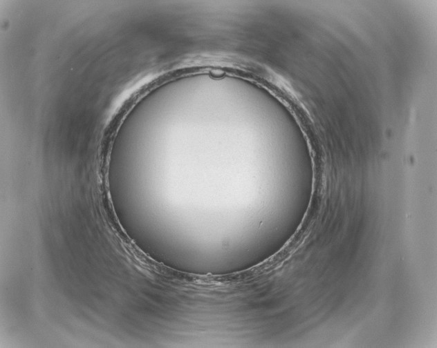 X0000087551312200705112111