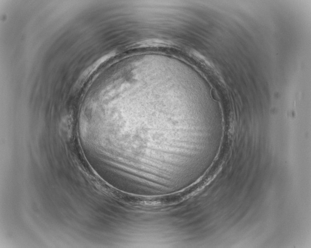 X0000087551313200705112111