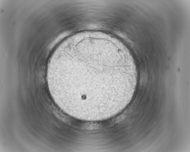 X0000087551314200705112111