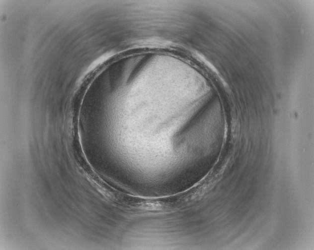 X0000087551315200705112111