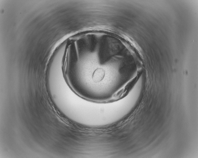 X0000087551316200705112111