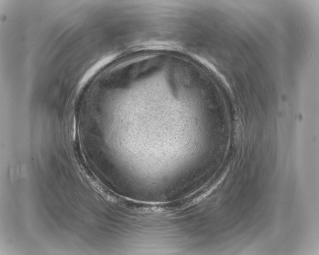 X0000087551317200705112111