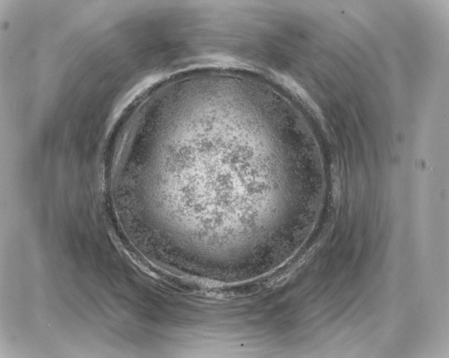 X0000087551318200705112111