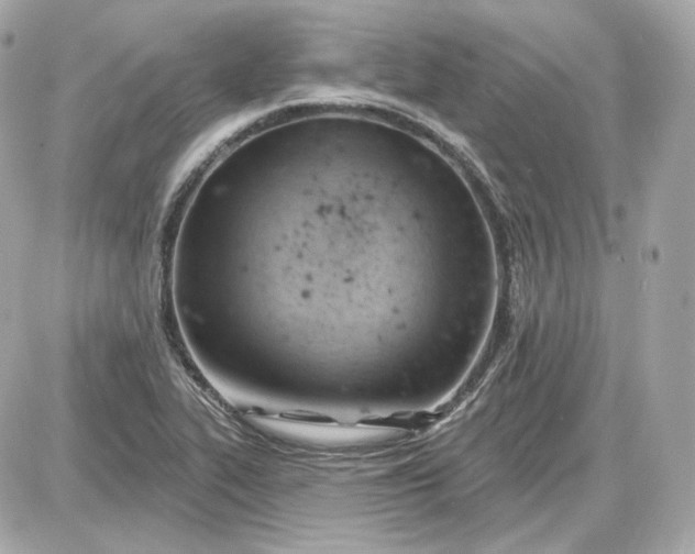 X0000087551319200705112111