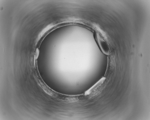 X0000087551320200705112111