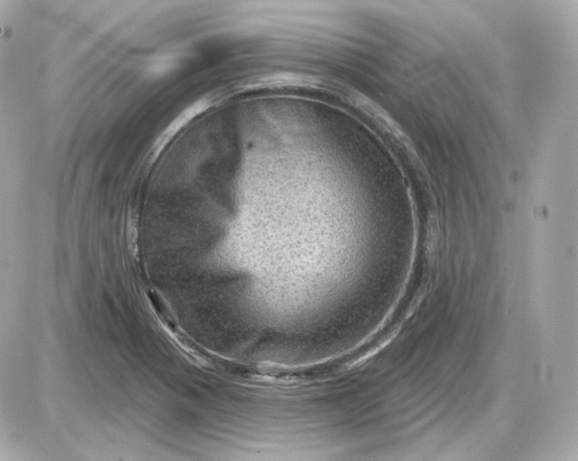 X0000087551321200705112111