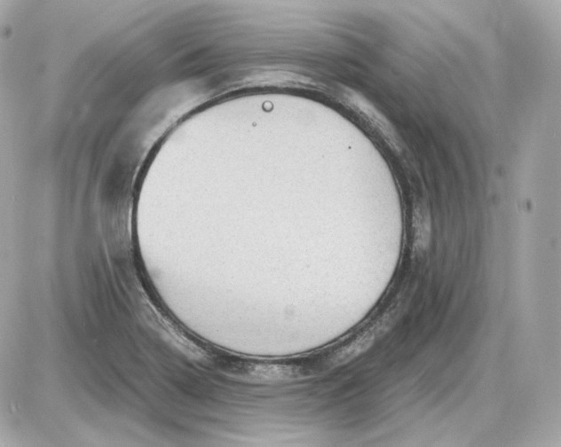 X0000087551322200705112111