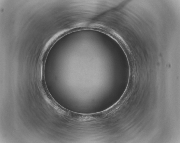 X0000087551323200705112111