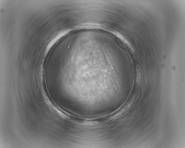 X0000087551325200705112111