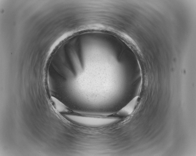 X0000087551326200705112112