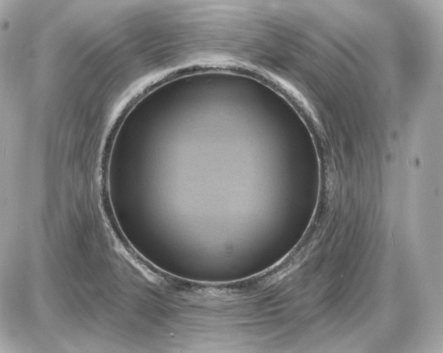 X0000087551327200705112112