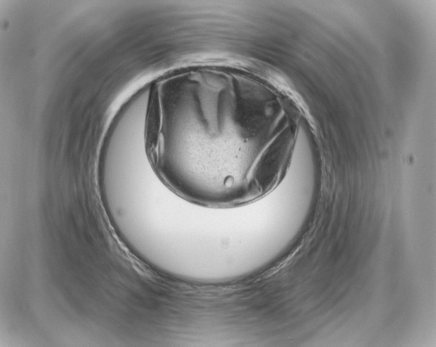 X0000087551328200705112112