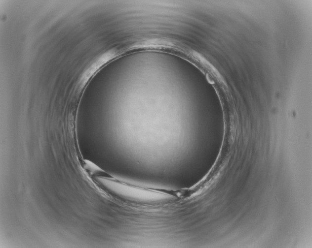 X0000087551329200705112112