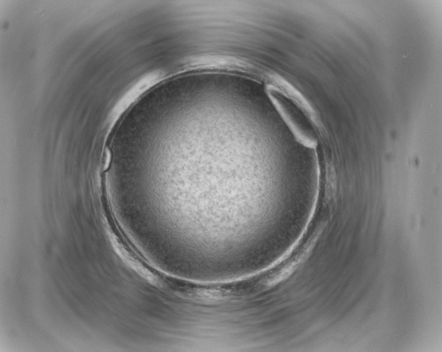 X0000087551330200705112112