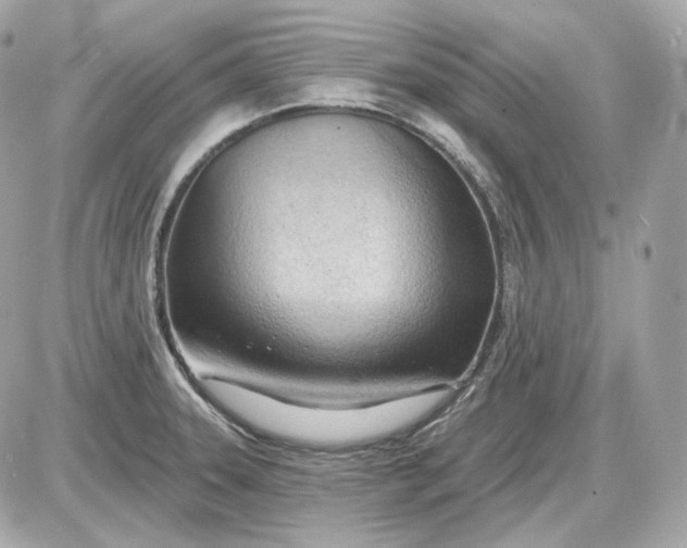 X0000087551331200705112112