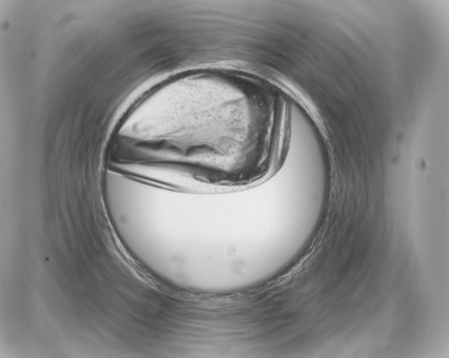 X0000087551332200705112112