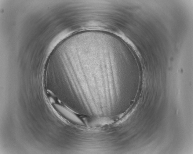 X0000087551333200705112112