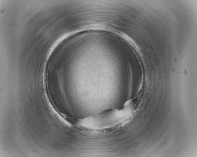 X0000087551334200705112112