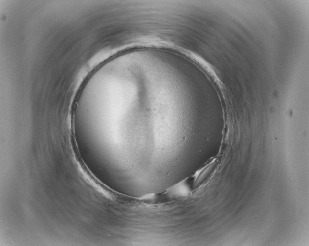 X0000087551335200705112112