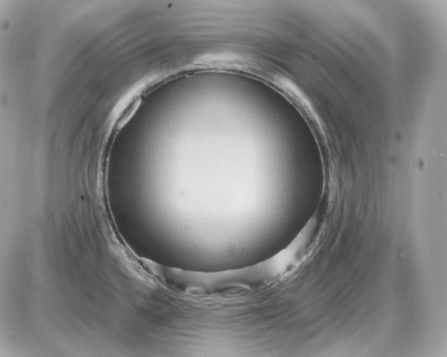 X0000087551336200705112112