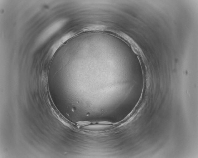 X0000087551337200705112112