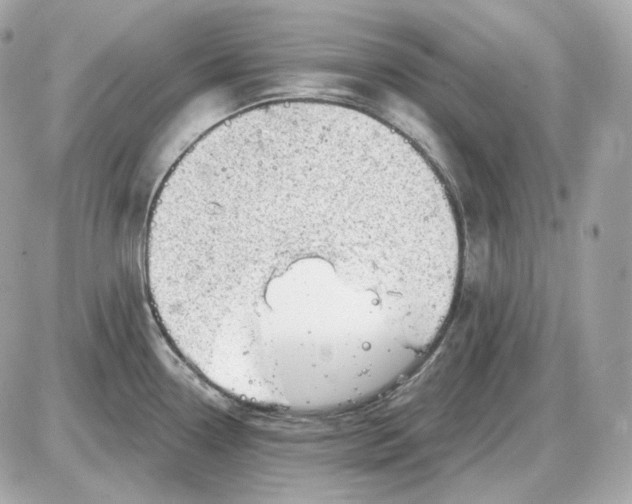 X0000087551338200705112112