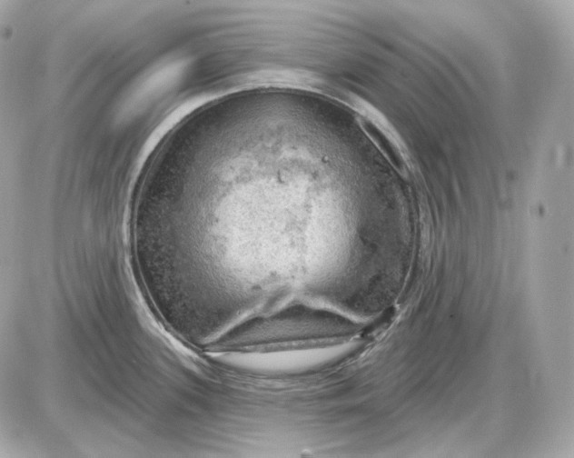 X0000087551339200705112112