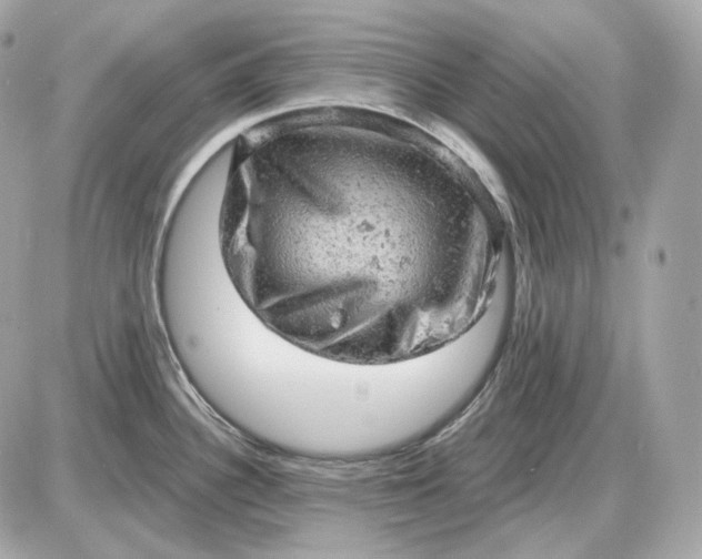 X0000087551340200705112112